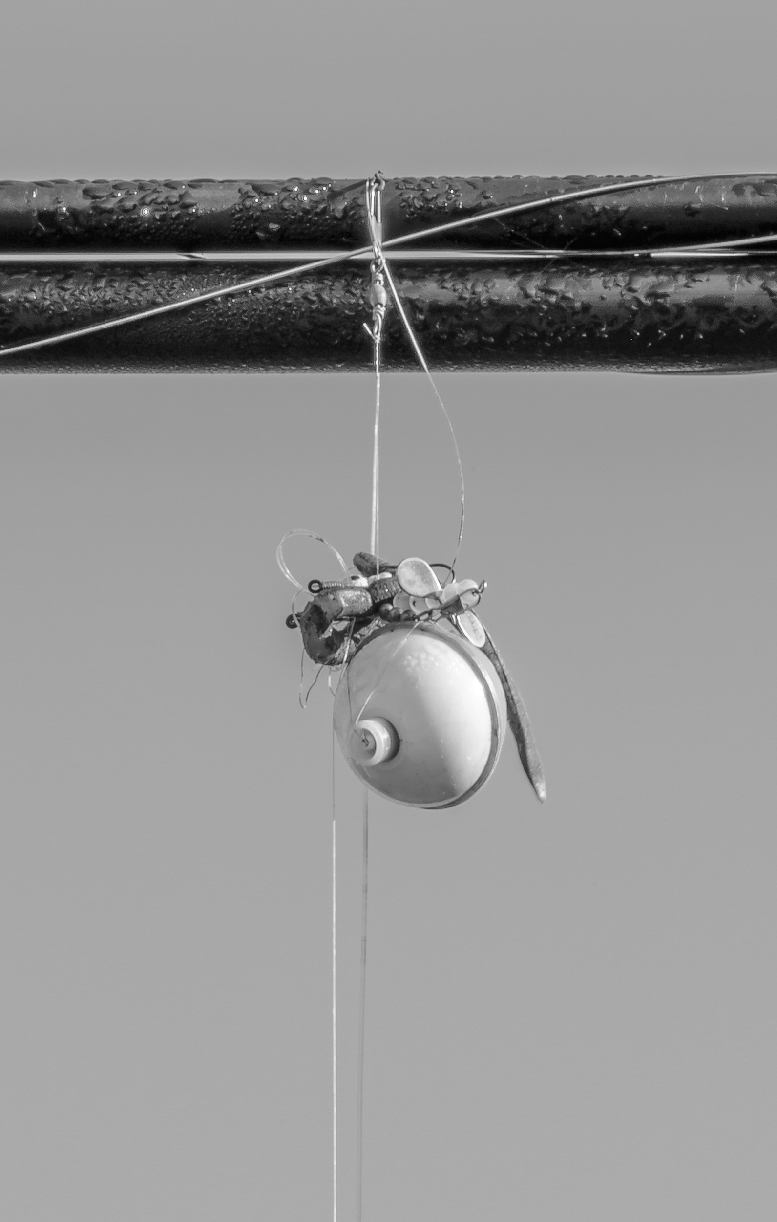 float and small creature bait on a few strands of fishing line hanging from utility line