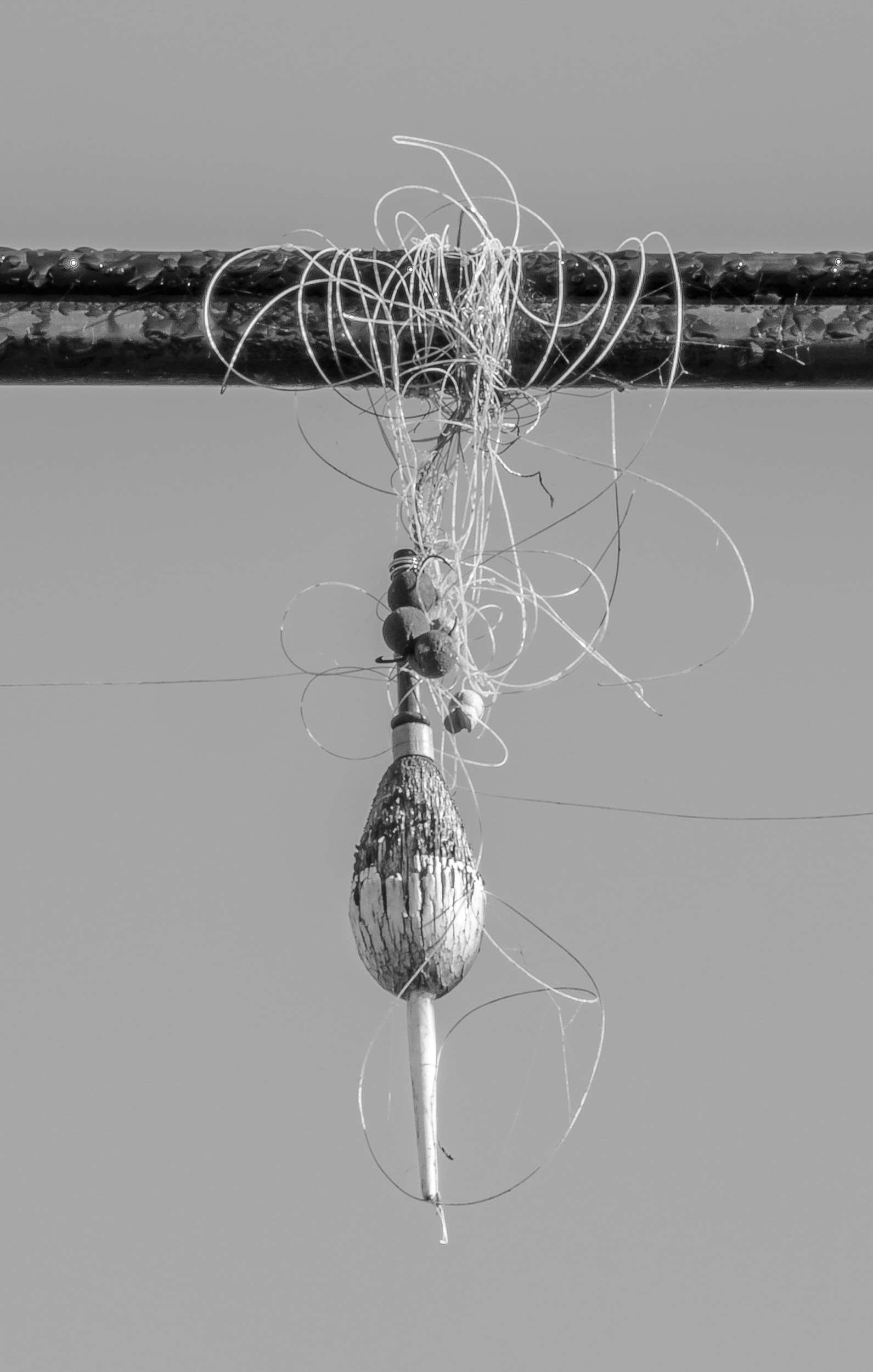 tangle of fishing line, weights, and float wrapped on utility line