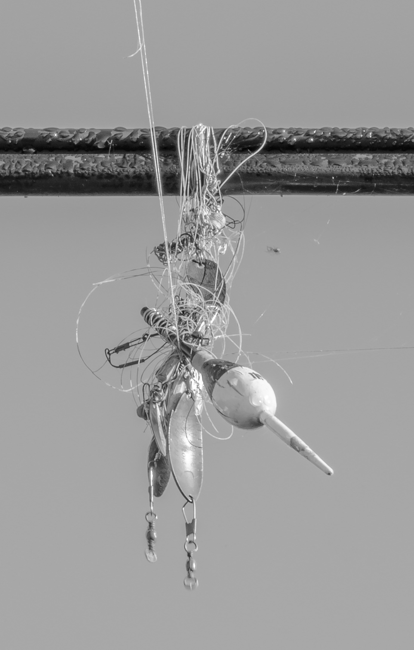 tangle of fishing line, lures, and float wrapped on utility line